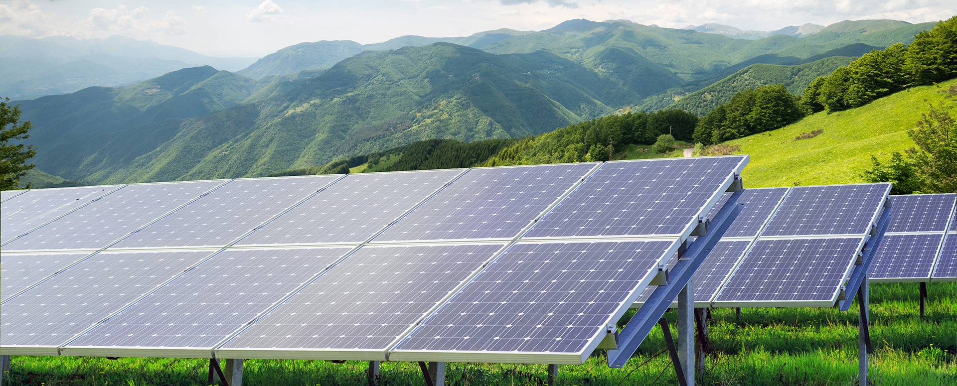 Rows of solar panels in a field.